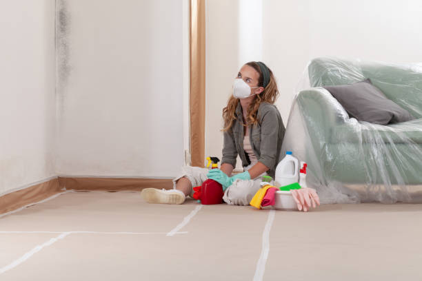 Reliable Basement Mold Removal contractor in Rahway, NJ by WQB Mold Removal